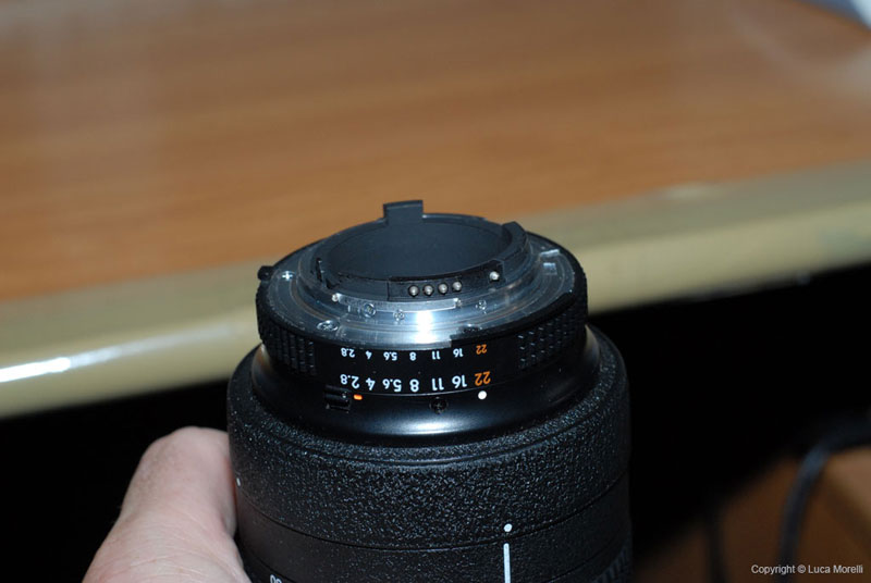 t_DSC_9012.jpg