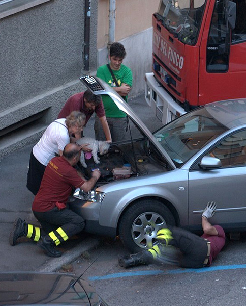 taglio.jpg