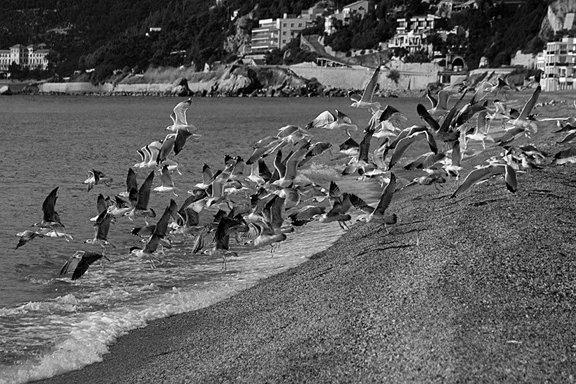 TENTATIVO BW.......jpg