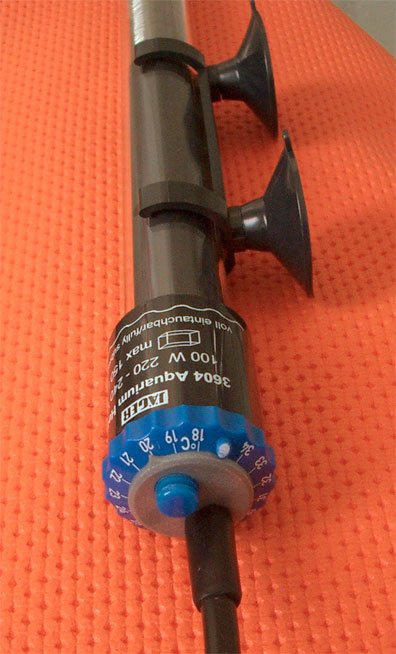 Termostato.jpg
