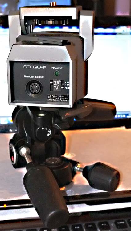 teste dappertutto.jpg