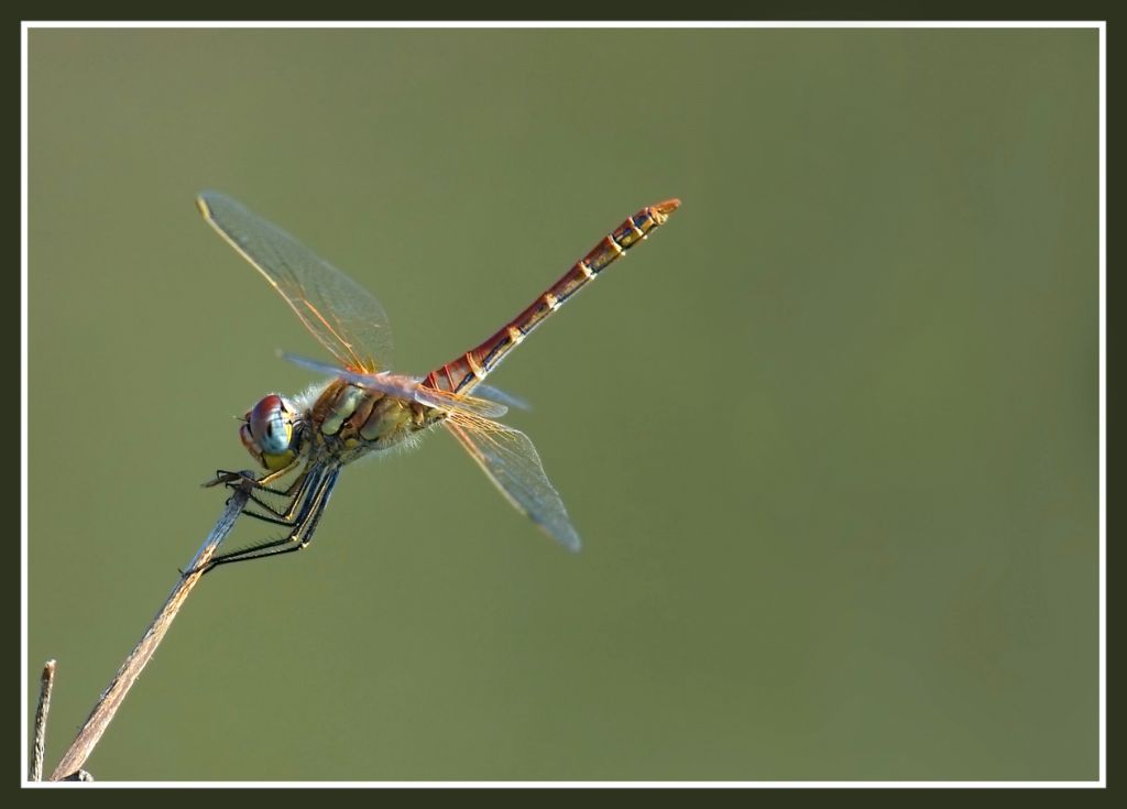 testlibe [1024x768].jpg