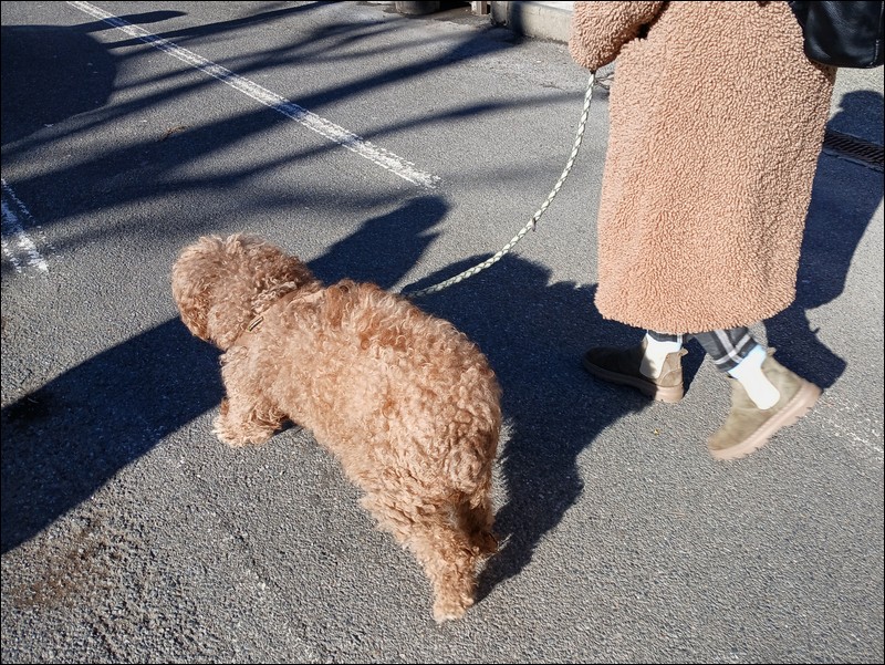 tn_20250317_091412 col.jpg