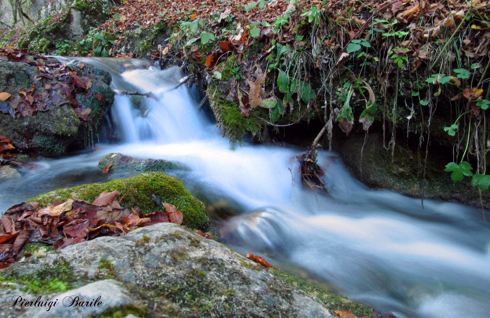 torrente.jpg
