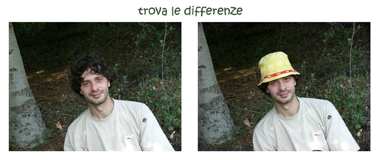 Trova le differenze.jpg
