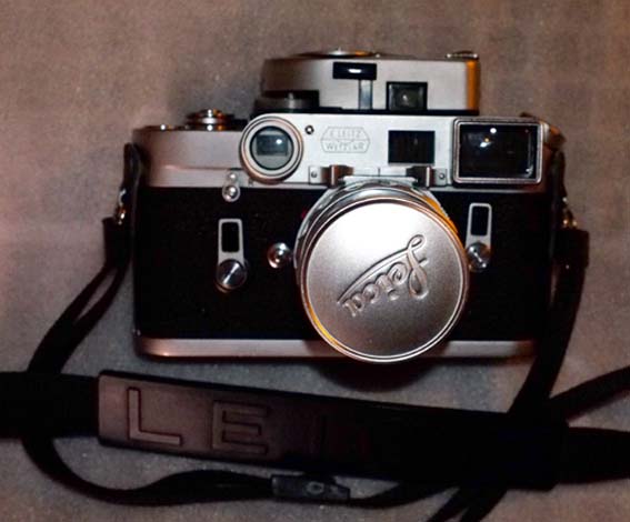 ultima adottata fronte.jpg