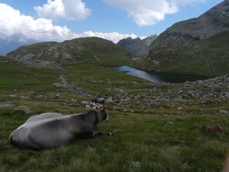 Un posto in prima fila_001.jpg