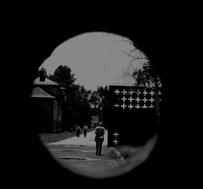 un viale pieno di disperazione.jpg