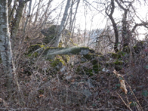 Varie 220120120025(2).JPG