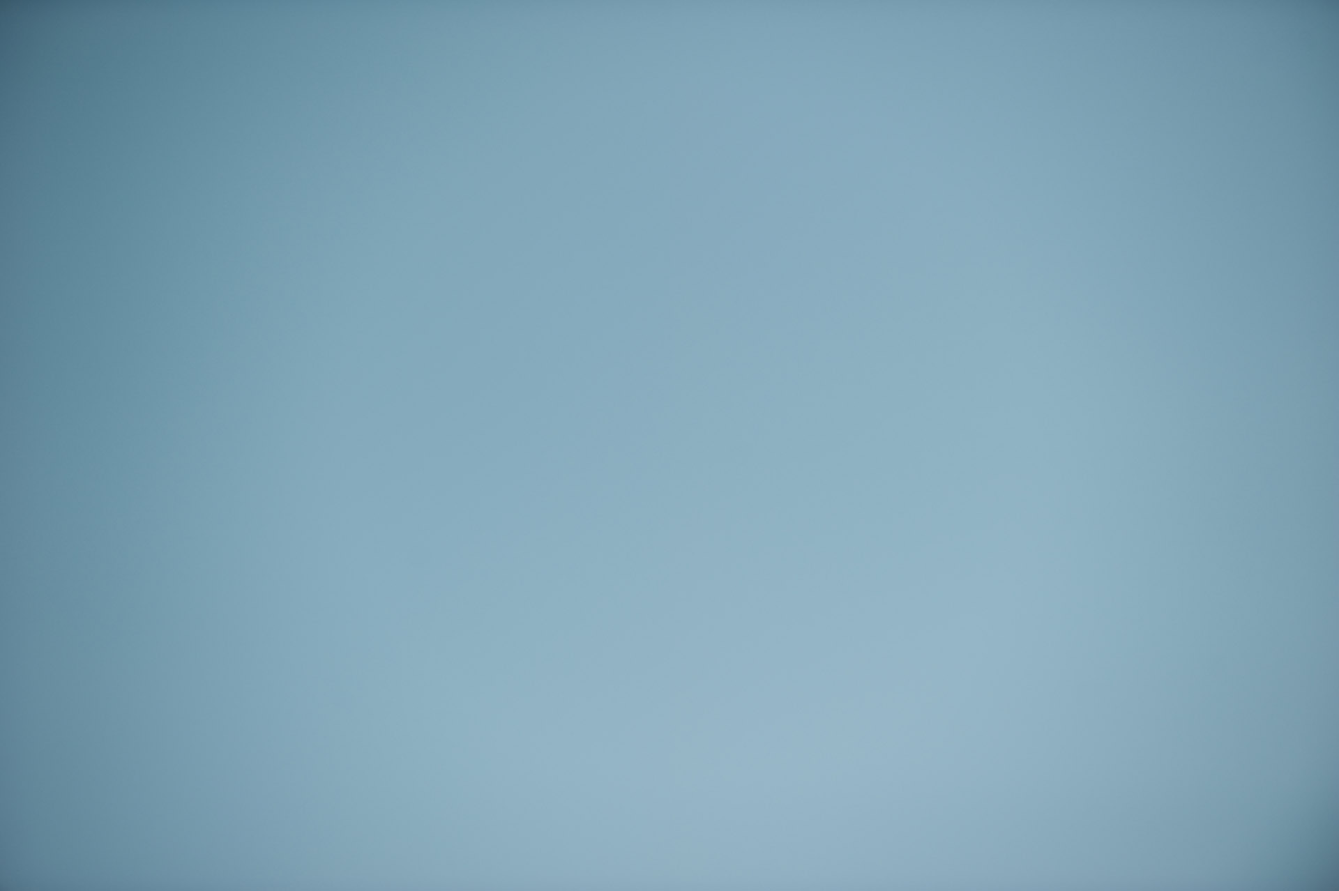 Vignetta 4 Nikkor-1 piccolo.jpg