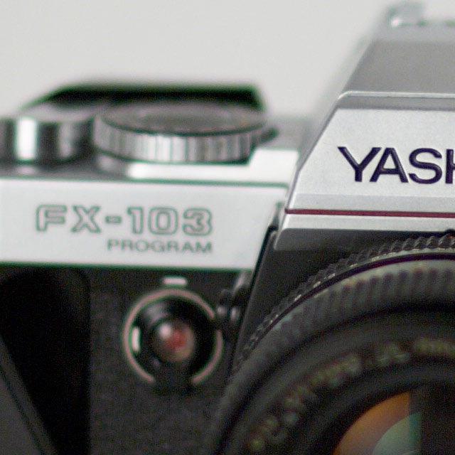 ya-crop-1.2.jpg