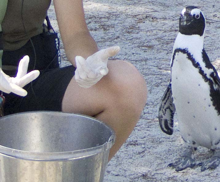 zoom7.jpg